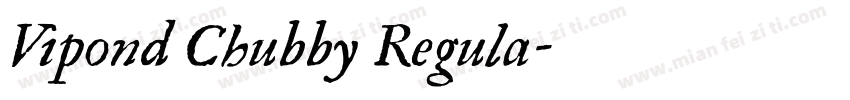 Vipond Chubby Regula字体转换
